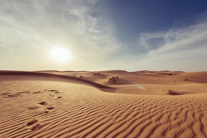 Doha Private Half-Day Guided Desert Safari Tour - Authentic Reviews and Real Experiences