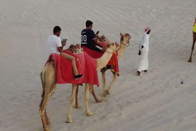 Doha-Private Half Day Safari Camel Ride and Sandboard included - The Itinerary Breakdown