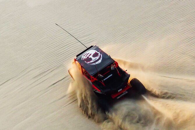 Doha-Private half day safari Sunrise/Sunset - What Do the Reviews Say?