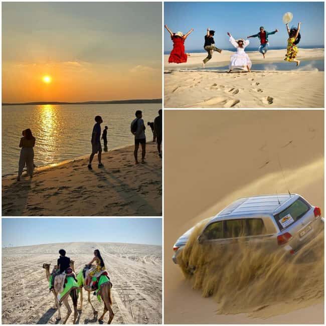Doha: Private NIGHT desert safari with free camel ride - The Details That Matter