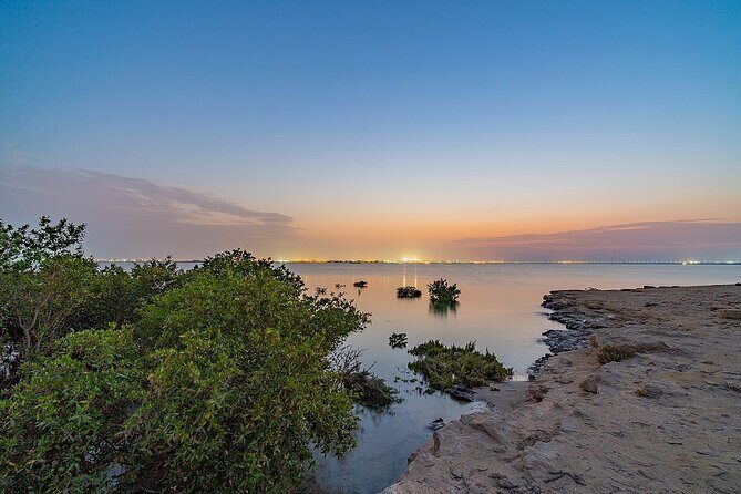 Doha Private North Qatar Tour, Mangroves and Al Zubarah Fort - Purple Island: A Natural Highlight