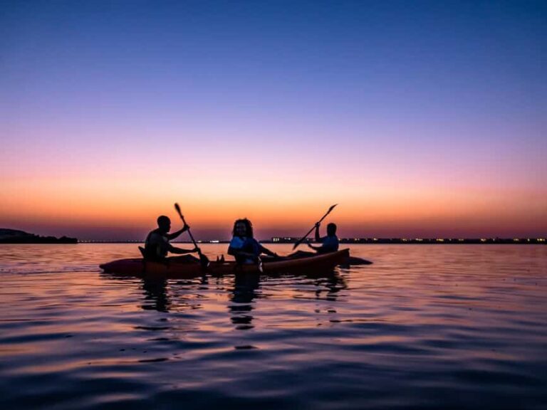 Doha: Private Purple Island Mangroves Kayaking Adventure - The Itinerary: What to Expect on Your Kayaking Adventure