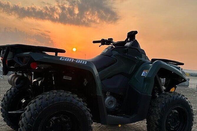 Doha Qatar ATV Quad Bike Buggy Desert Adventure and Camel Ride - The Value of the Tour