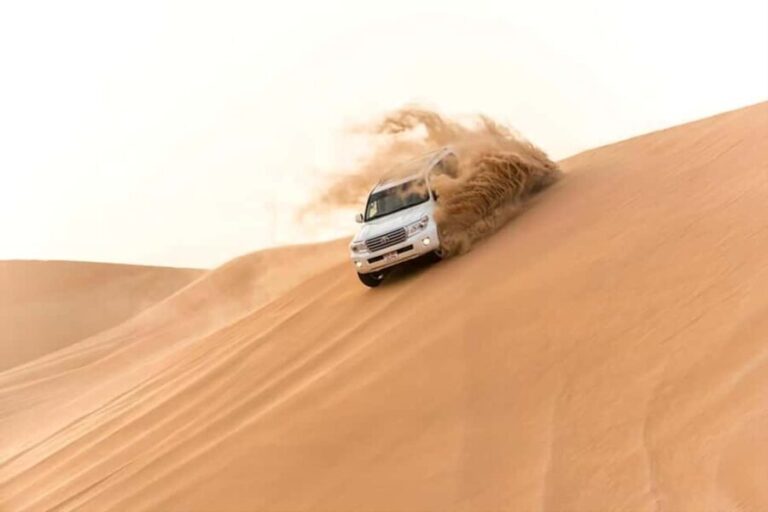 Doha Qatar : sealine adventure Camel Ride sandboard Sunset - Additional Activities and Options