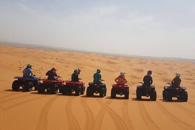Doha Quad Bike, Dune Bashing, Camel Ride and Inland Sea Tour - The Guides: The Real Highlight