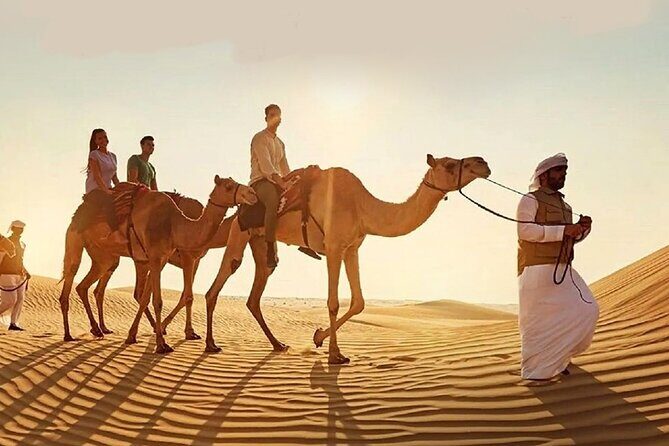 Doha Quad Bike, Dune Bashing, Camel Ride and Island Sea Tour - What Makes This Tour Stand Out?