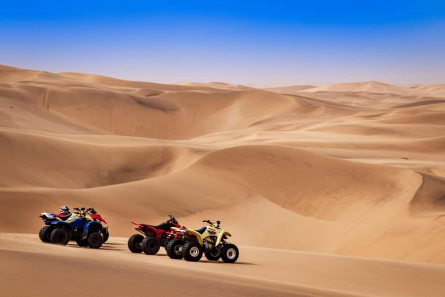 Doha: Quad Bike, Dune Bashing, Camel Ride & Inland Sea Tour - What Makes This Tour Stand Out