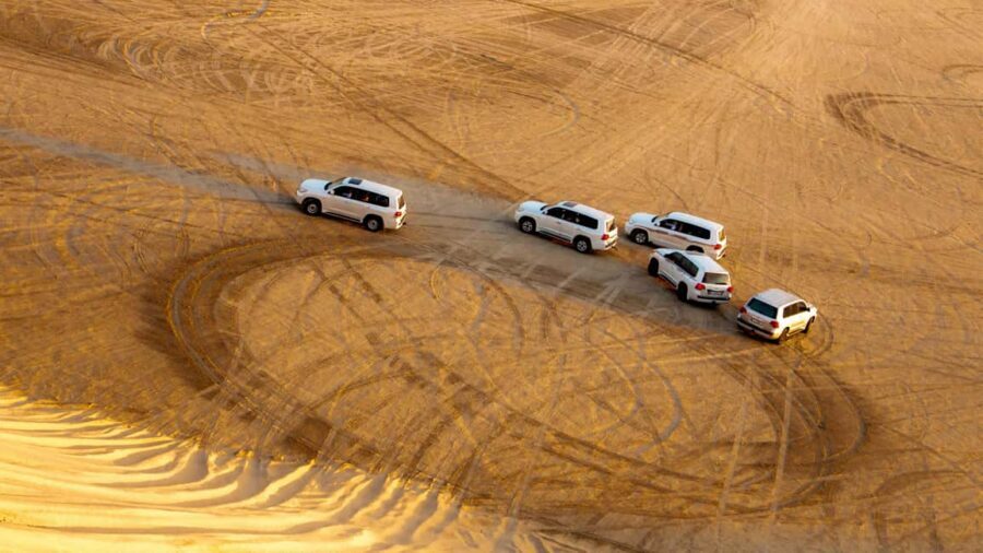 Doha: Safari, Camel Ride, Sandboarding and Inland Sea Tour - The Stops: From Camels to Sand Dunes