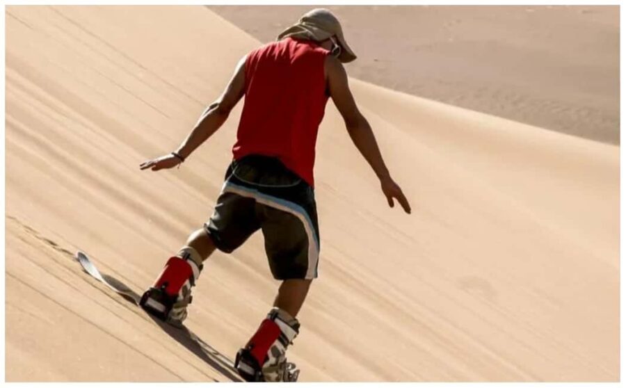 Doha: Safari, Camel Ride, Sandboarding and Inland Sea Tour - The Value of This Tour
