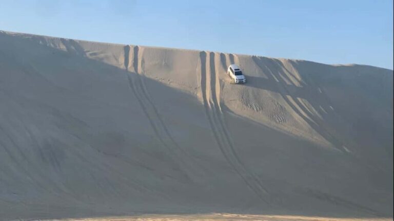 Doha: Safari | Inland Sea Tour | Camel Ride | Sandboarding - Who Would Love This Tour?
