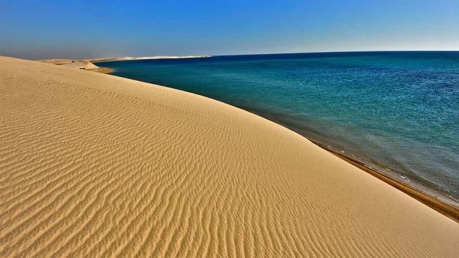 Doha Safari - Quadbike, Camel Ride, Sandboarding & Inland Sea