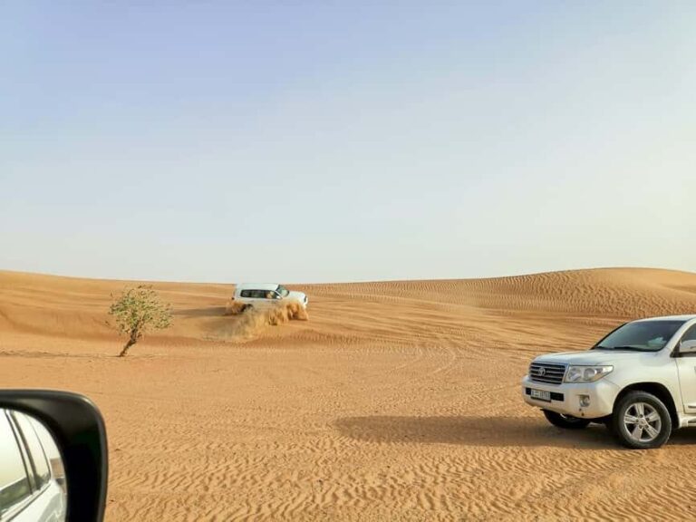 Doha: Shared Desert Safari, Sandboarding, Camel Ride - The Practical Side: What’s Included and What’s Not
