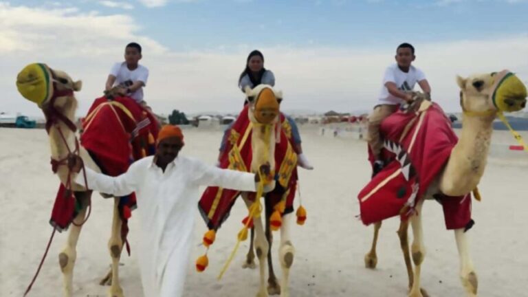 Doha Shore Excursion: Full-Day Desert Safari-Doha City Tour - Who Will Enjoy This Tour?