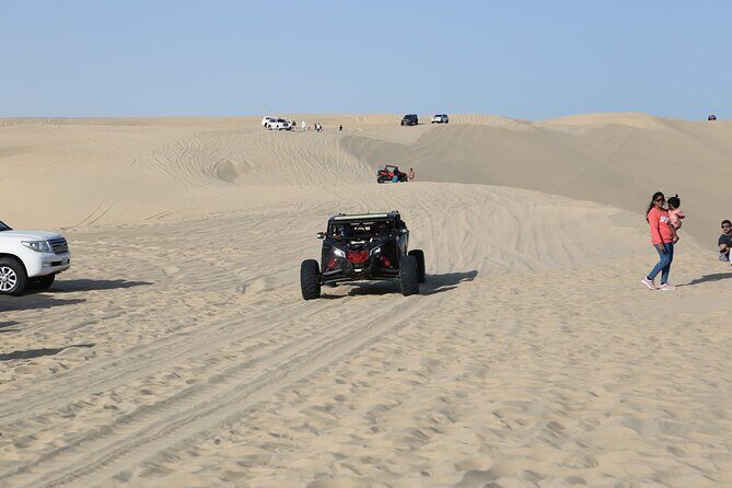 Doha; Sunrise Desert Tour and camel safari 4hrs - The Itinerary Breakdown