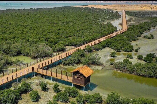 Doha Zubara Fort, Purple Island and Mangrove Exploration - What Travelers Say: Authentic Insights