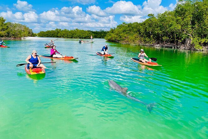 Dolphin and Manatee Adventure Tour of Fort Myers - The Sum Up