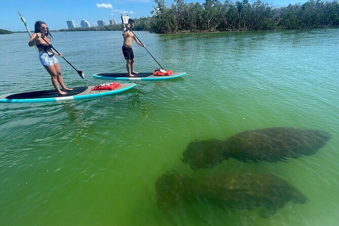 Dolphin and Manatee Adventure Tour of Naples with Florida History - Detailed Itinerary and Experience Breakdown