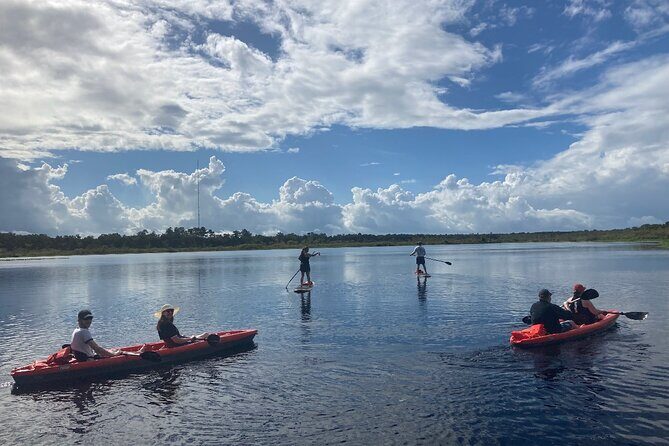 Dolphin and Manatee Adventure tour of Osprey with Florida History - Why the Equipment and Guide Matter