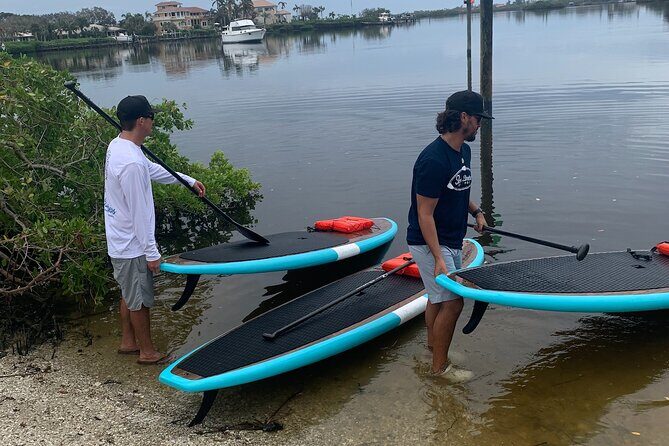 Dolphin and Manatee Adventure Tour of Sarasota with Olde Florida History! - The Sum Up: Is This Tour Worth It?