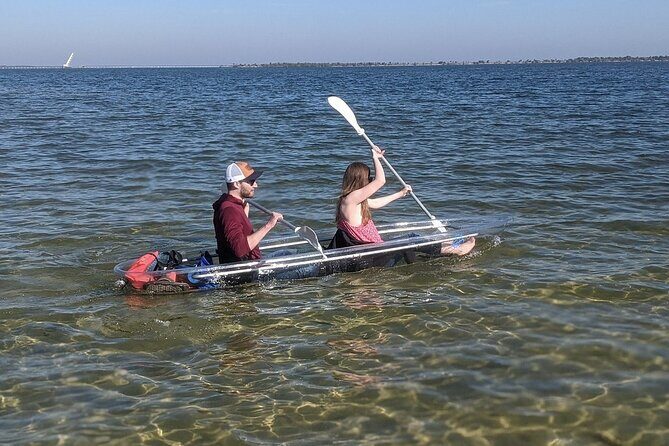 Dolphin and Manatee Clear Kayak or Paddleboard Tour - An In-Depth Look at the Experience