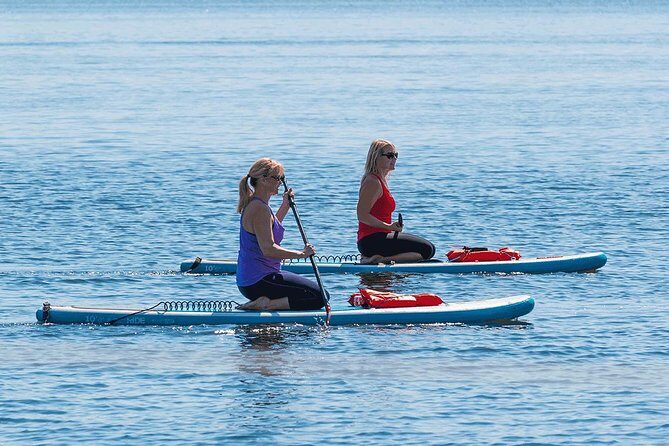 Dolphin and Manatee Stand Up Paddleboard Tour in Daytona Beach - Practical Details and What to Expect