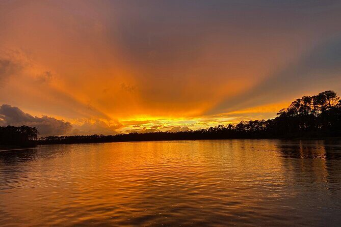Dolphin and Nature Sunset Cruise from Orange Beach - Who Will Love This Tour?