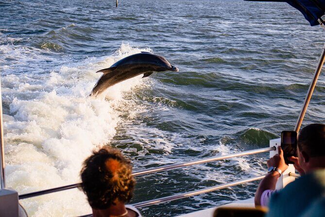Dolphin and Shelling Cruise Tour at Fort Myers Beach - Duration and Group Size