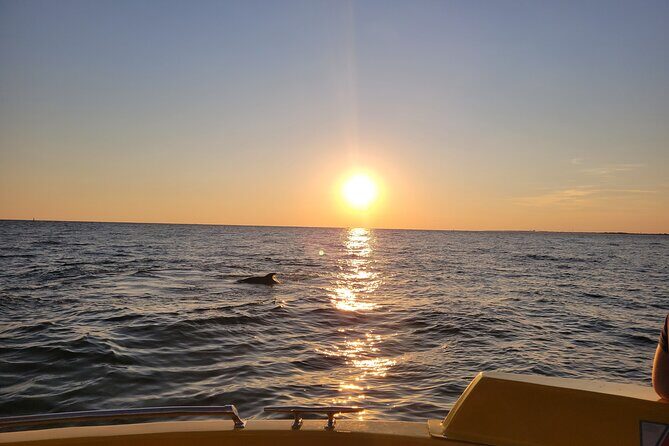 Dolphin and Sunset tour aboard the Hydro Rocket - Why This Tour Is Worth Considering