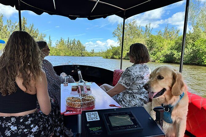 Dolphin Boat Tour in Vero Beach - The Detailed Itinerary