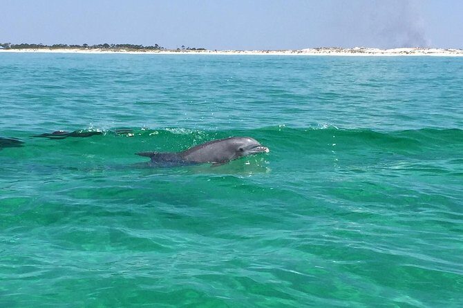 Dolphin Cruise in Destin FL - The Sum Up: Who Should Book This Tour?