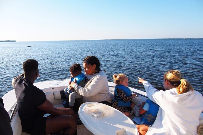 Dolphin cruise in Santa Rosa Beach - The Sum Up