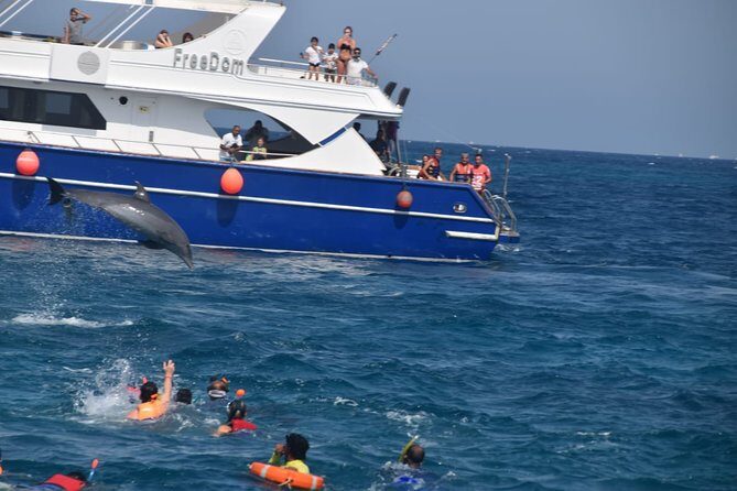 Dolphin House and Banana Boat Fun from Hurghada - The Practicalities: What to Expect