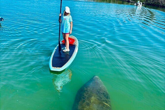 Dolphin, Manatee and Sea Turtle Adventure Tour of Bonita Springs - The Itinerary: What to Expect