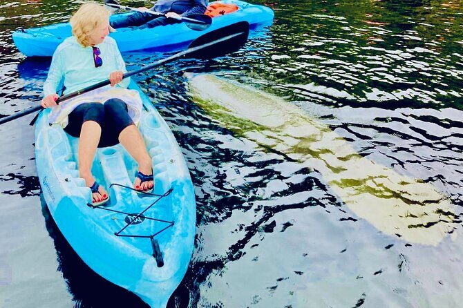 Dolphin, Manatee and Sea Turtle Kayak Adventure - Who Will Love This Tour?