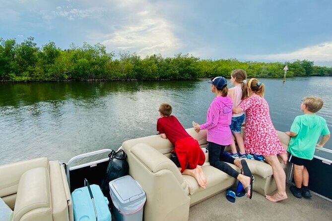 Dolphin/Manatee Pontoon Boat Tour with Local Expert - The Experience’s Value