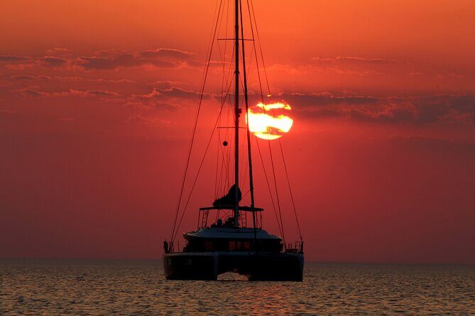 Dolphin Morning Watching & Snorkeling + open bar + 1 day Hop-On Hop-Off Fun - Analyzing the Value