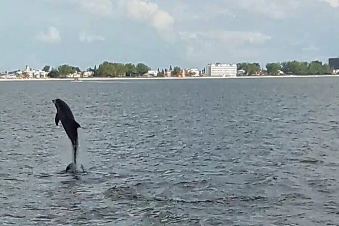 Dolphin Quest - Sightseeing/Eco Cruise, John's Pass, Madeira Beach, FL - The Experience in Detail