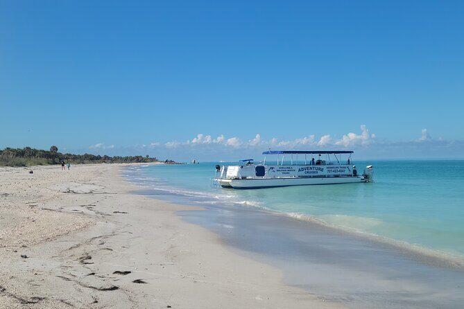 Dolphin /Shelling/Snorkeling tours Private Charters - The Itinerary: What to Expect