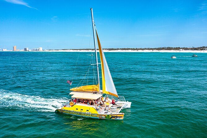 Dolphin Sightseeing Tour on The Footloose Catamaran from Panama City Beach - Why It Offers Good Value