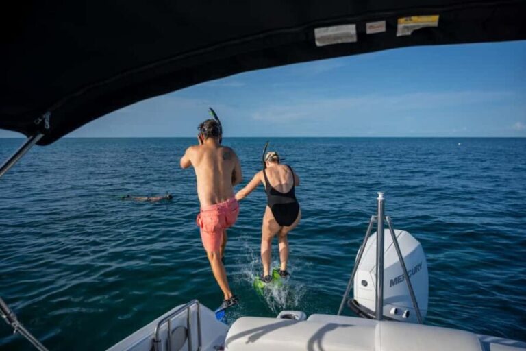 Dolphin & Snorkeling Key West - What the Reviews Tell Us
