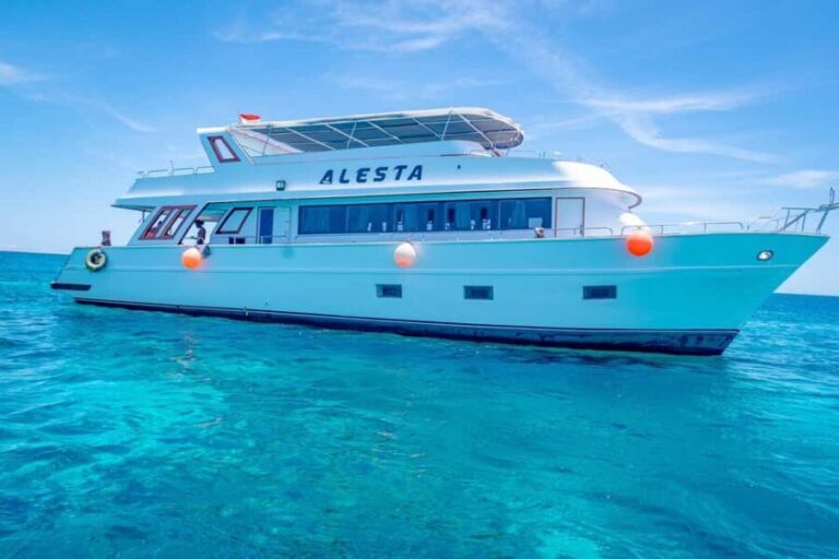 Dolphin Tour with Red Sea Fun. The Best in Hurghada - What to Keep in Mind