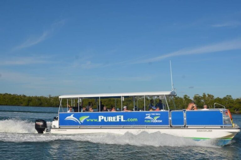 Dolphin Watch/Eco Cruise - Authentic Encounters and Personal Touches