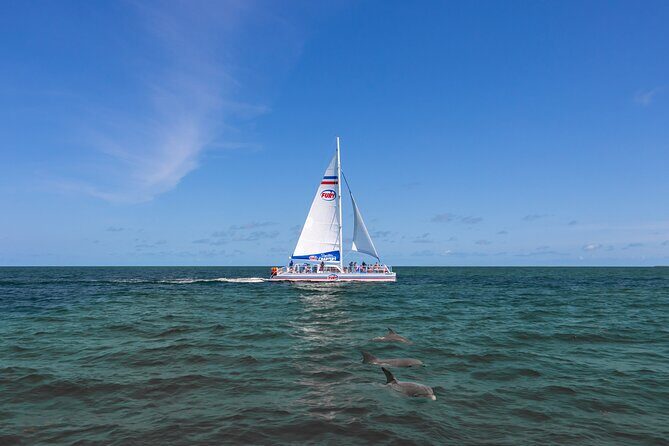 Dolphin Watch & Harbor Tour in Historical St. Augustine - What’s Included and Practical Details