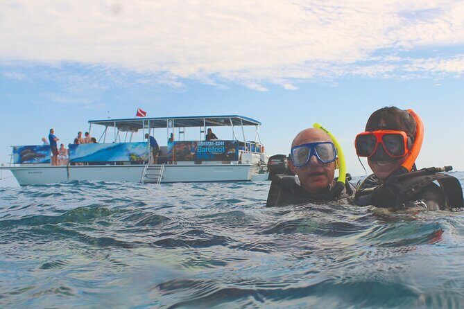 Dolphin Watching and Snorkeling Adventure in Key West - Authentic and Personal Experiences