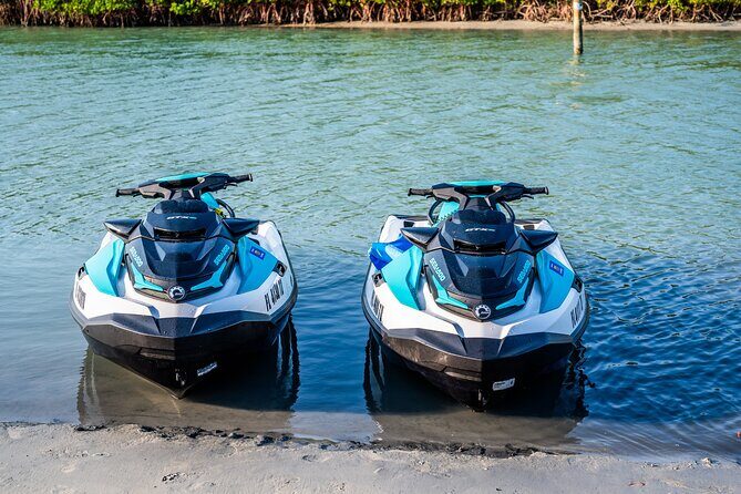 Dolphin Watching Jet Ski Tour - Final Thoughts: Is It Worth It?