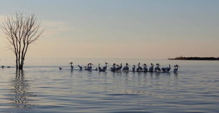 Door County Historic Cottage Row & Strawberry Islands Cruise - Who Will Love This Tour?