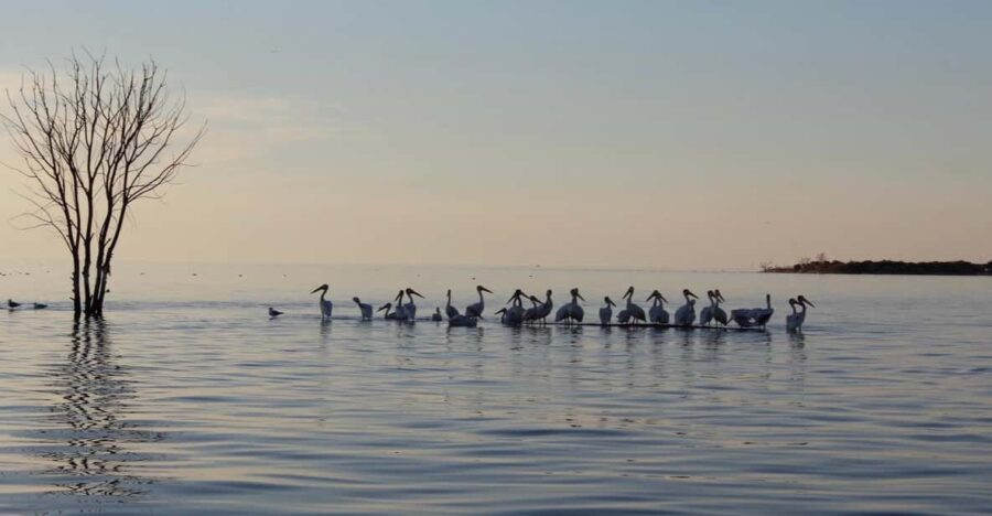 Door County Historic Cottage Row & Strawberry Islands Cruise - Who Will Love This Tour?