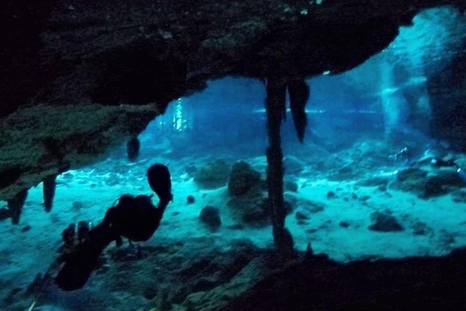 Dos Ojos Cenote Cavern Dive- The Barbie Line and The Bat Cave - Who Should Book This Tour?