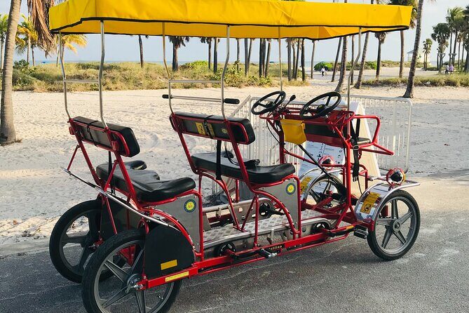 Double Quadricycle/Surrey Rental at Crandon Park - Who Will Love This Experience?