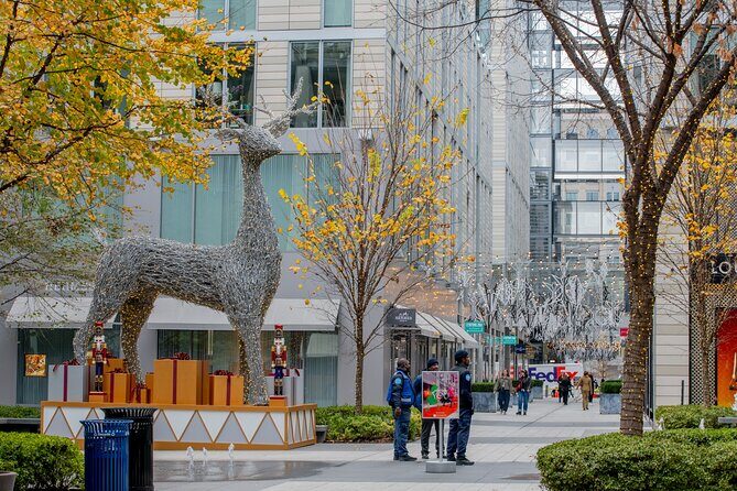 Downtown DC Holiday Tour: Lights, Decorations & Festive Cheer - What Travelers Can Expect